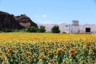 网友统计索尼今年共举行18场发布会 总播放量达4807万次